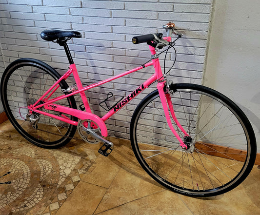 Nishiki Mixtie Custom Road Bike small/med