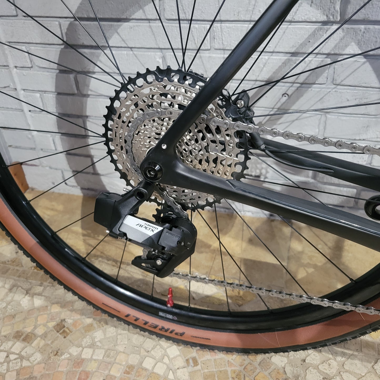 Salsa Warbird Carbon AXS (57.5)