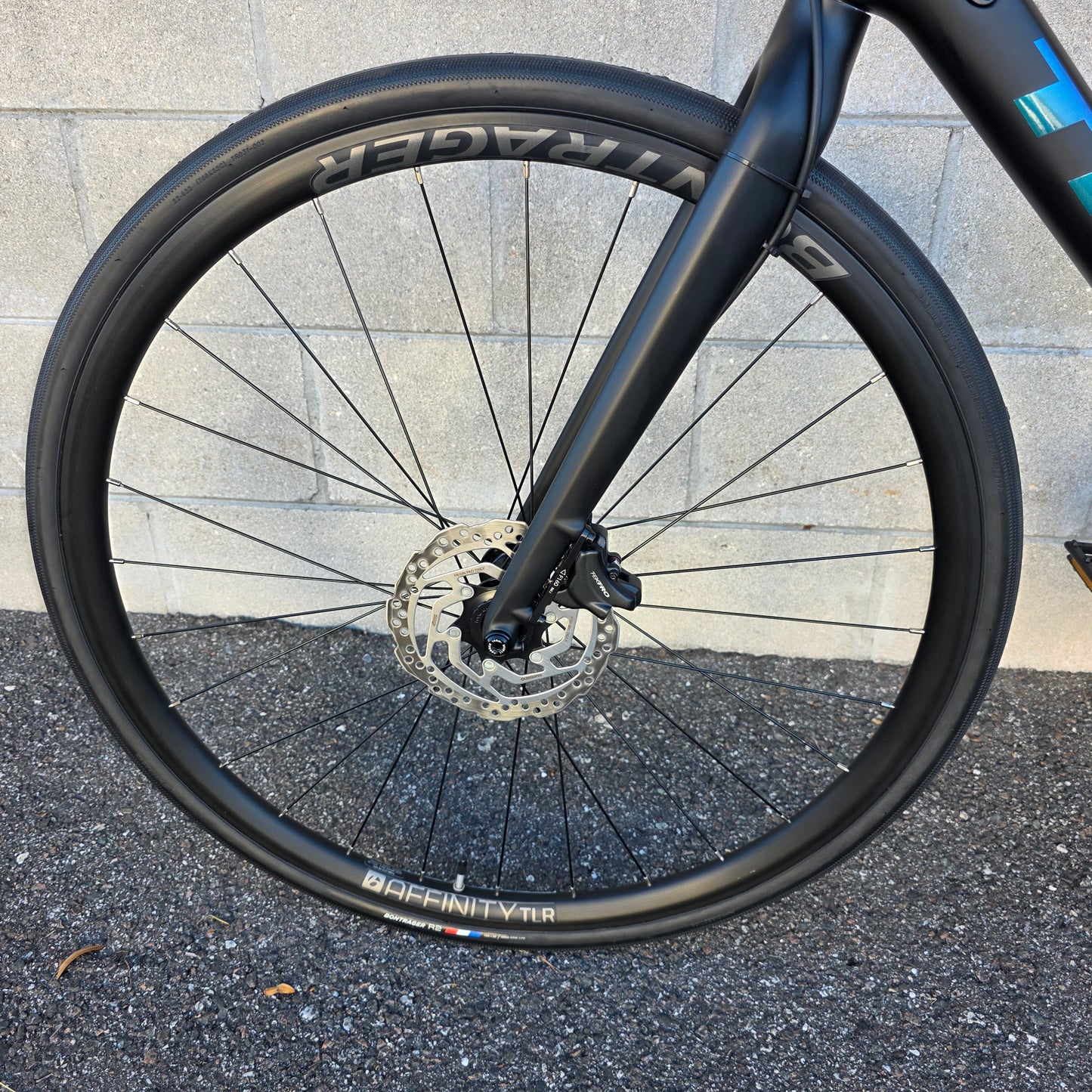 2021 Trek FX6 Sport Carbon (Large)