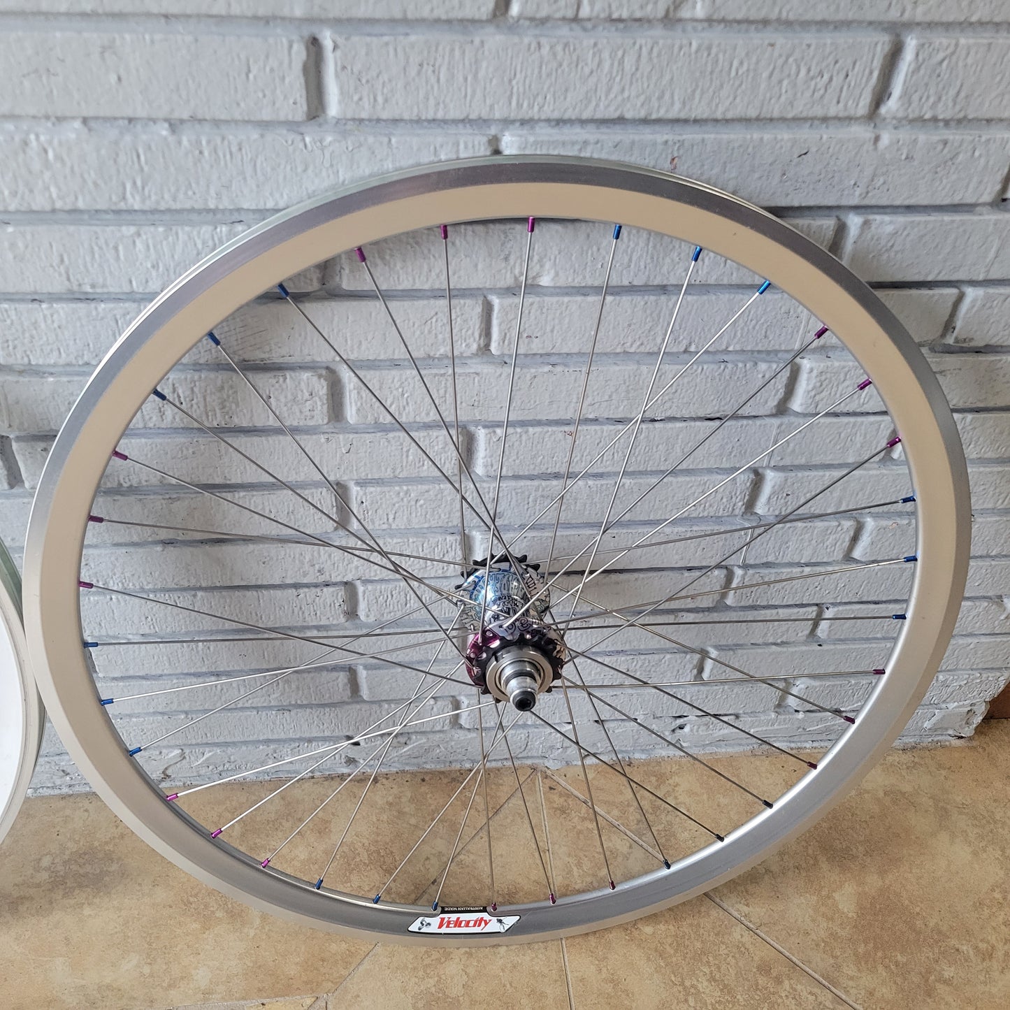Profile Racing Madera Graffiti/ Velocity Track Wheelset