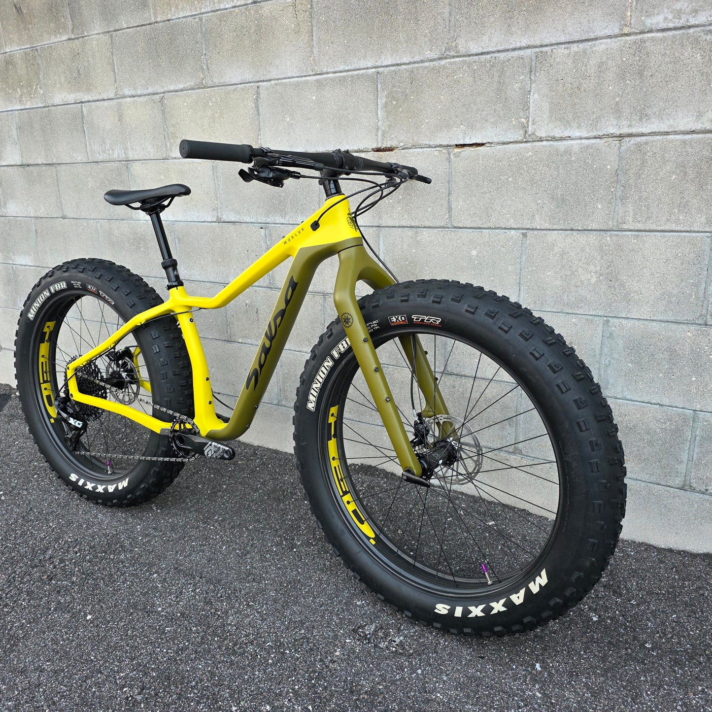 Salsa Mukluk XO1 Carbon FatBike (Small) HED Big Deal Carbon Wheelset