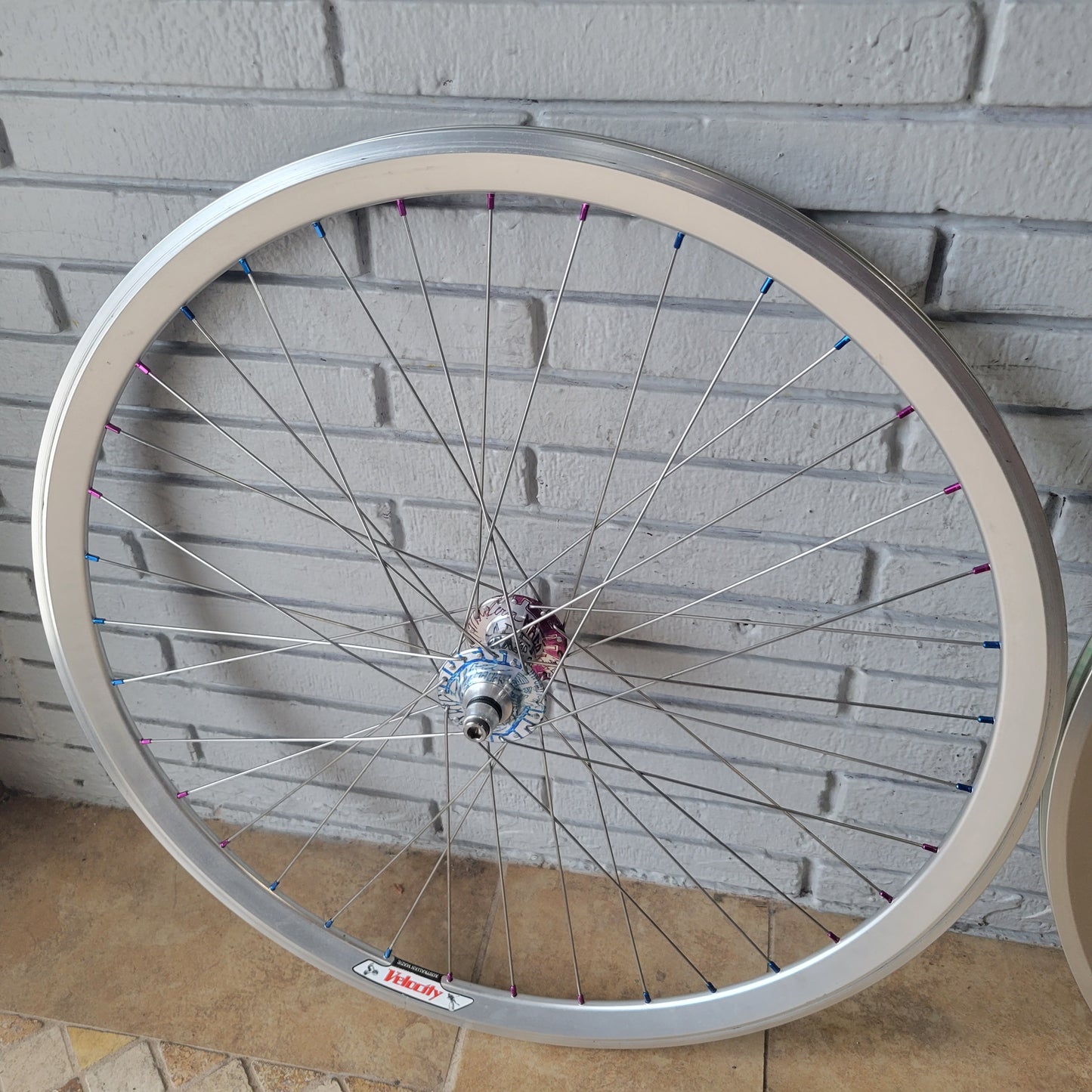 Profile Racing Madera Graffiti/ Velocity Track Wheelset