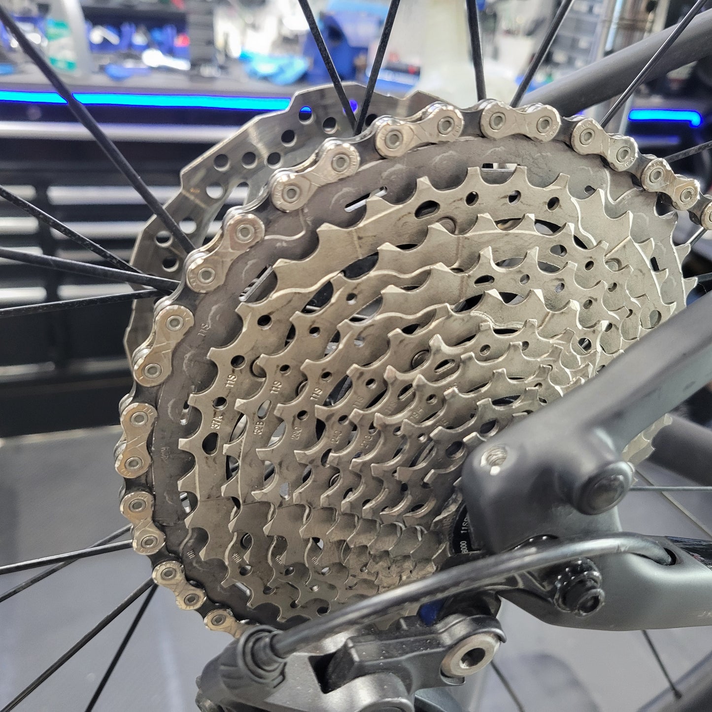 Trek FX6 Sport 6 Carbon (Medium)