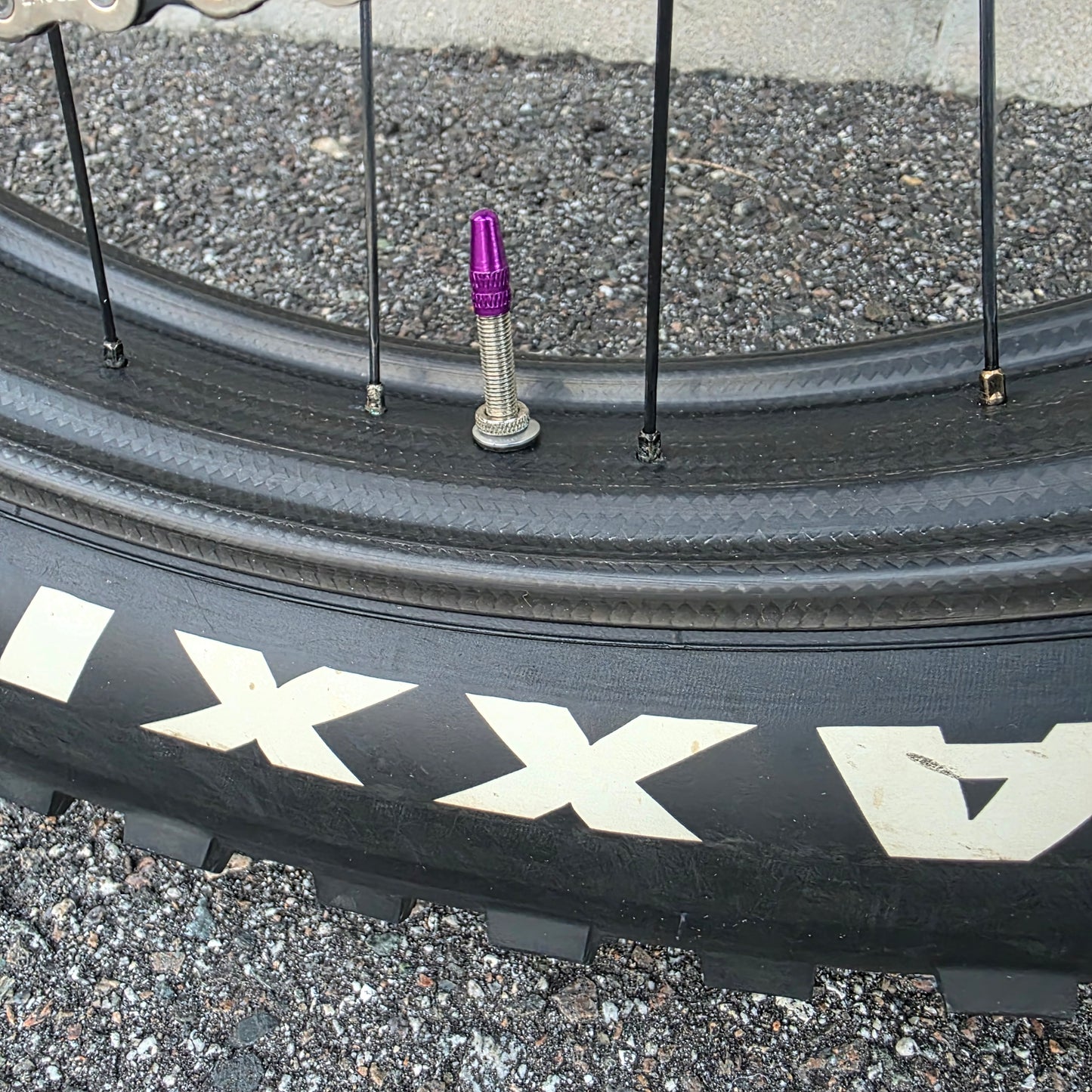 Salsa Mukluk XO1 Carbon FatBike (Small) HED Big Deal Carbon Wheelset