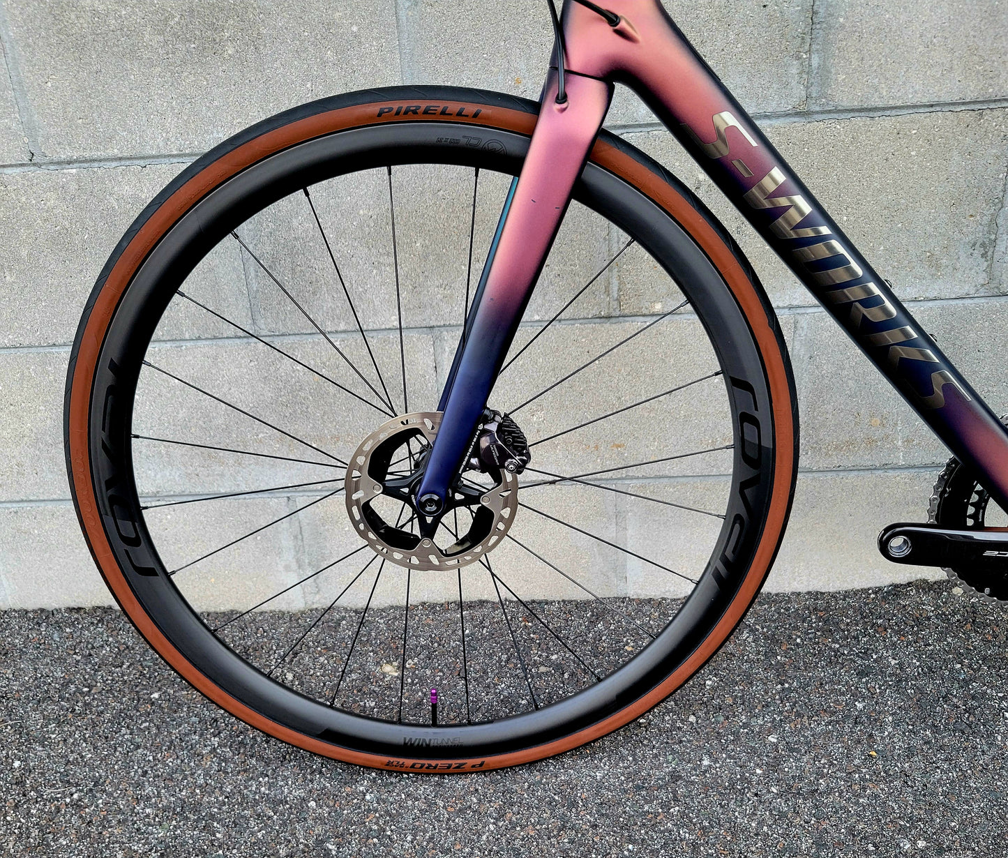 Specialized S-Works Roubaix (54cm) Di2, Alpinist wheels