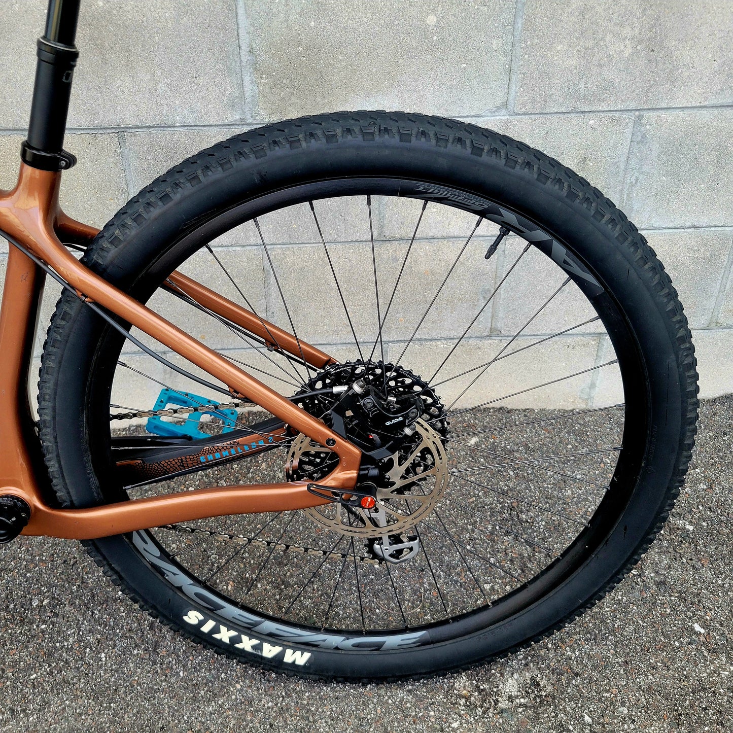 Santa Cruz Chameleon Carbon 29 (Large)