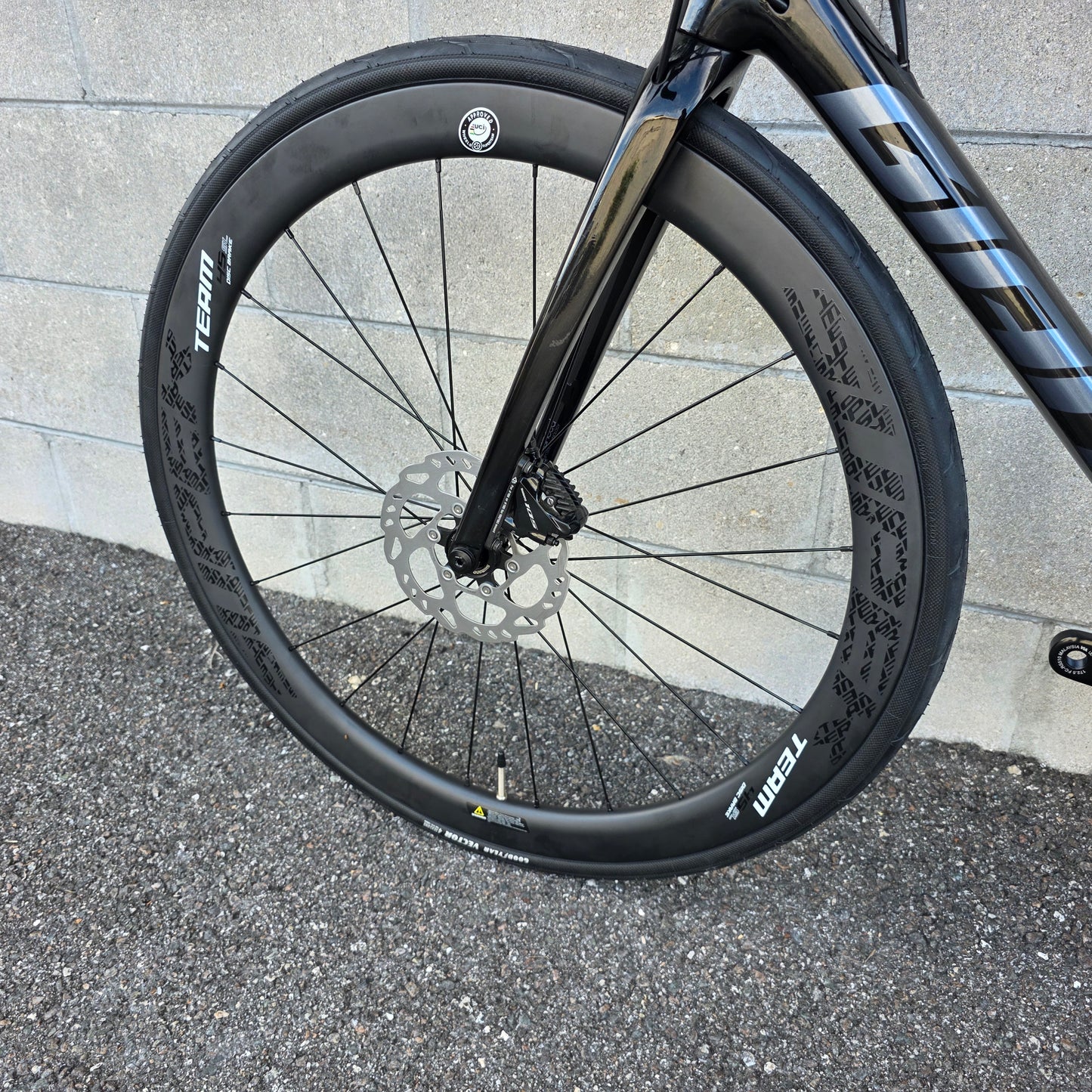 2025 Giant TCR Advanced Road Bike Custom M/L 56cm