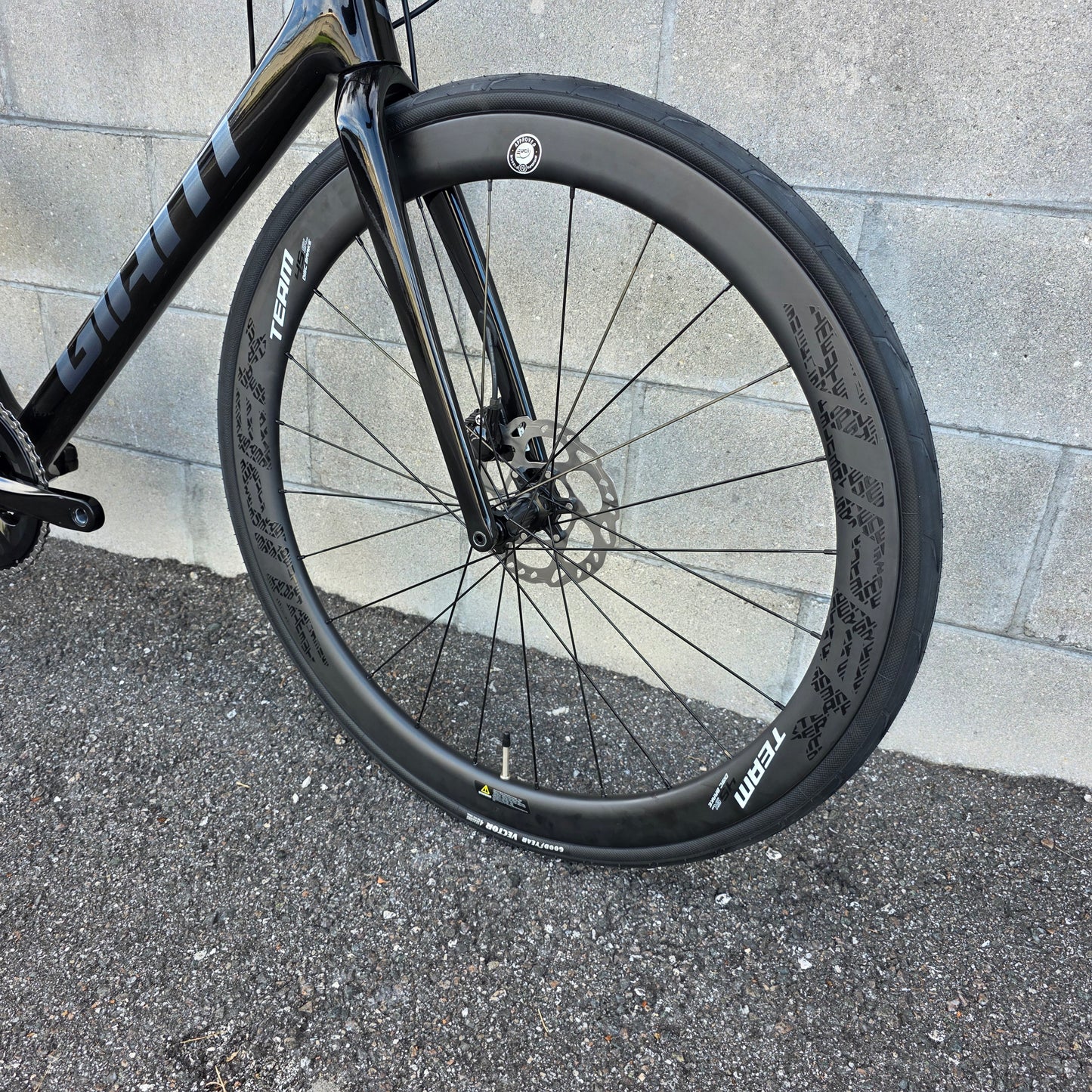 2025 Giant TCR Advanced Road Bike Custom M/L 56cm