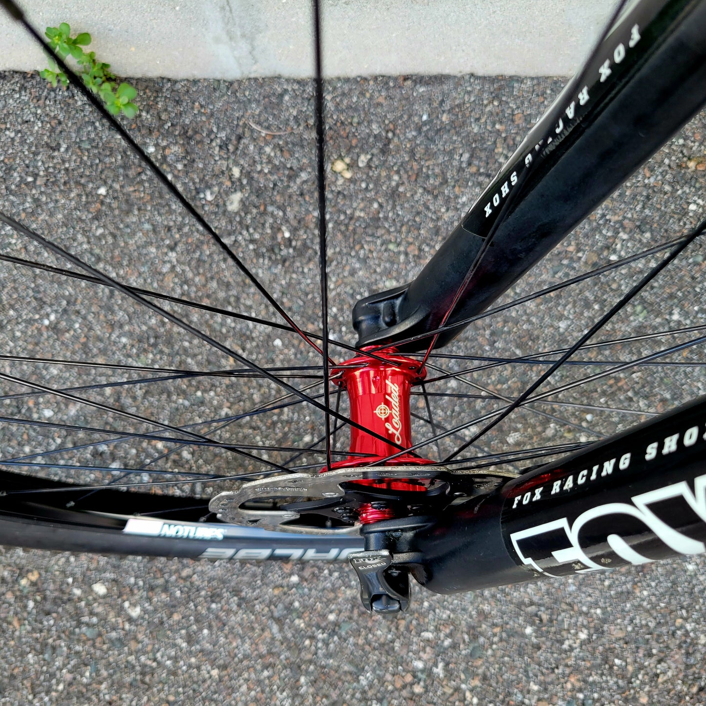Trek Stache 8 29 (XL 21")