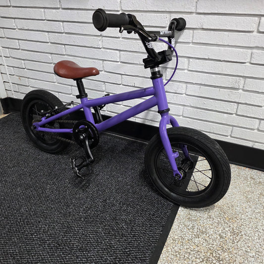 Cleary Gecko 12" Kids Bike Custom