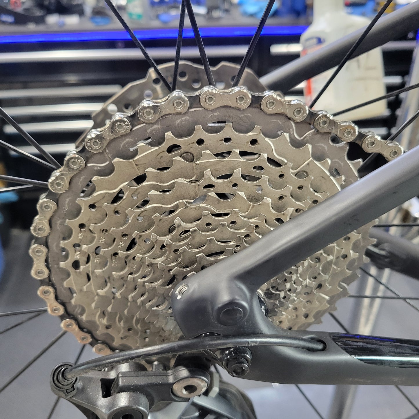 Trek FX6 Sport 6 Carbon (Medium)