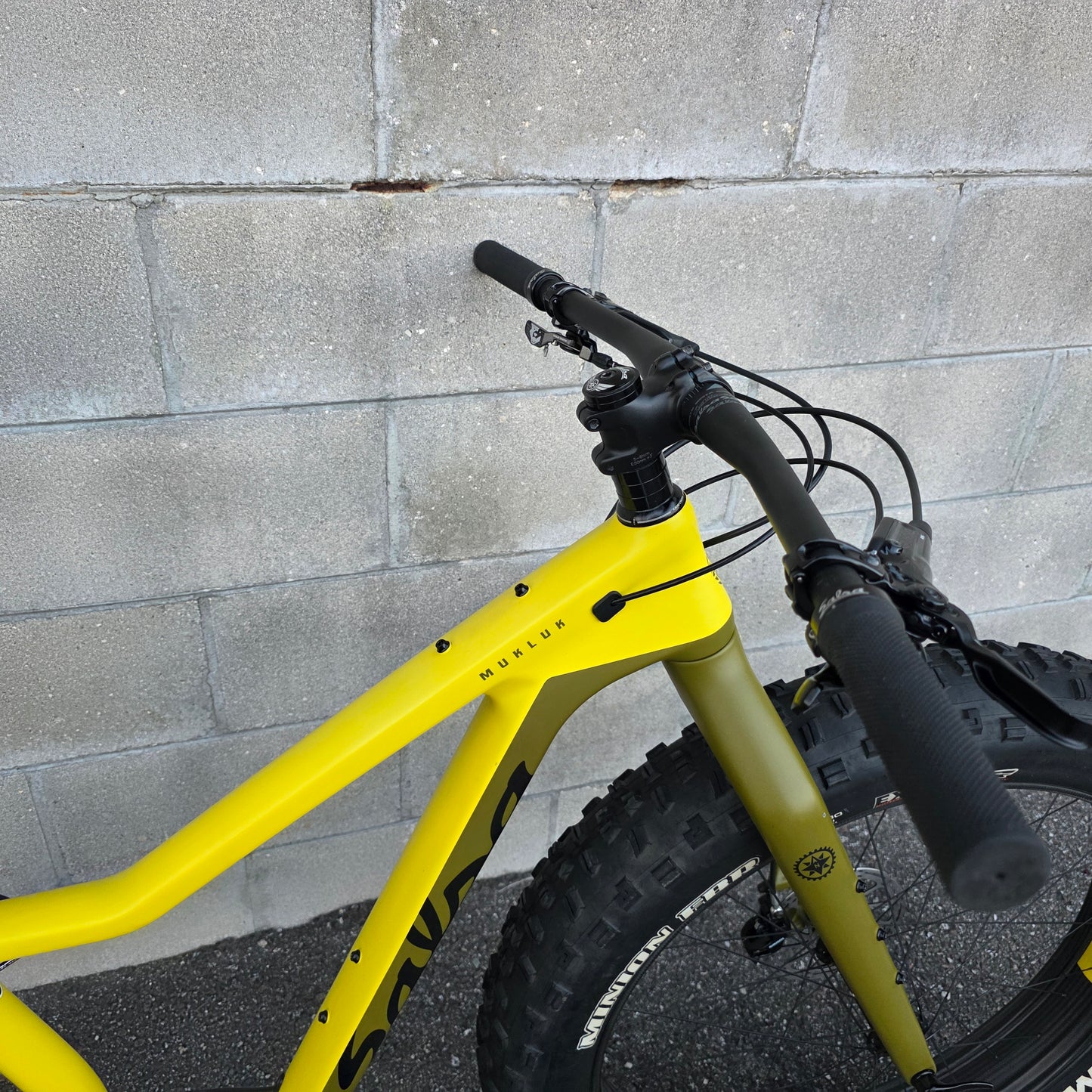 Salsa Mukluk XO1 Carbon FatBike (Small) HED Big Deal Carbon Wheelset