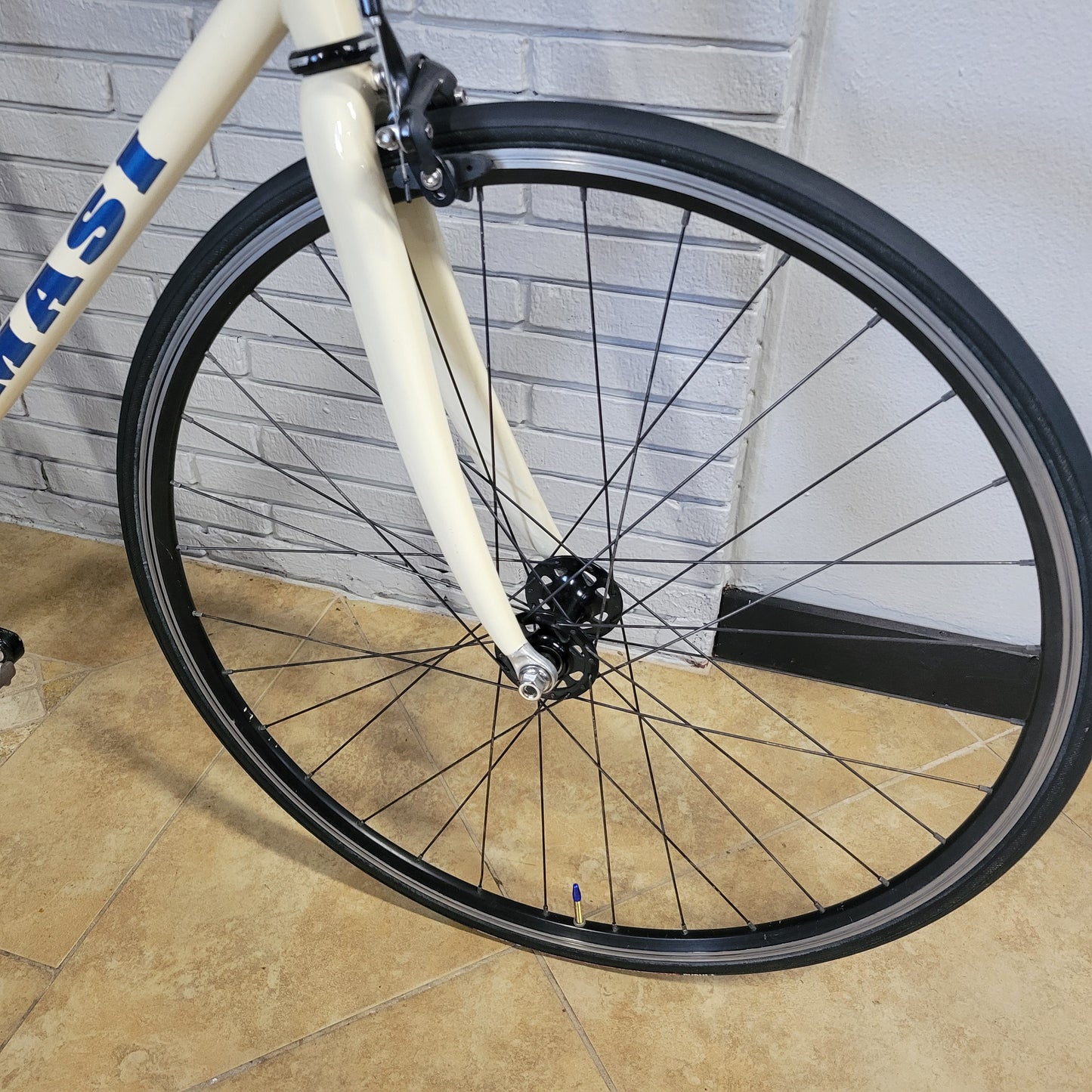 Masi Steel Fixed Gear/SingleSpeed Road bike