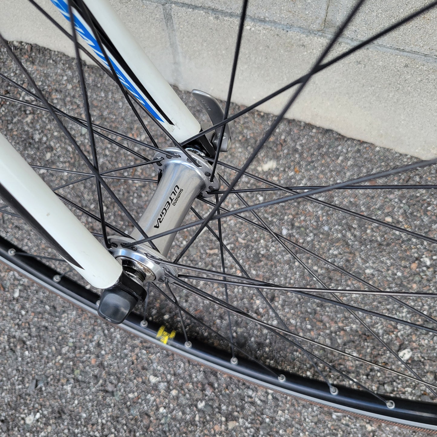 Specialized Tarmac Carbon Ultegra (58cm) Road Bike