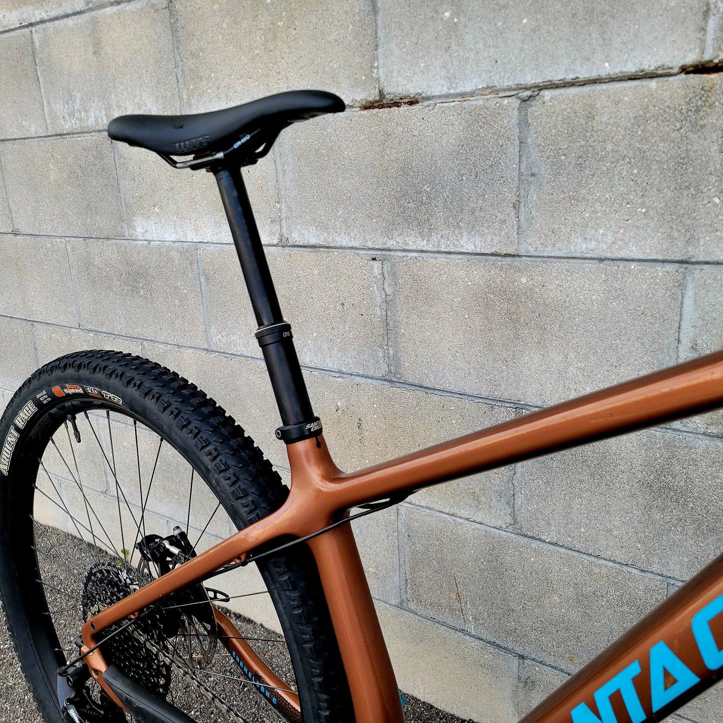 Santa Cruz Chameleon Carbon 29 (Large)