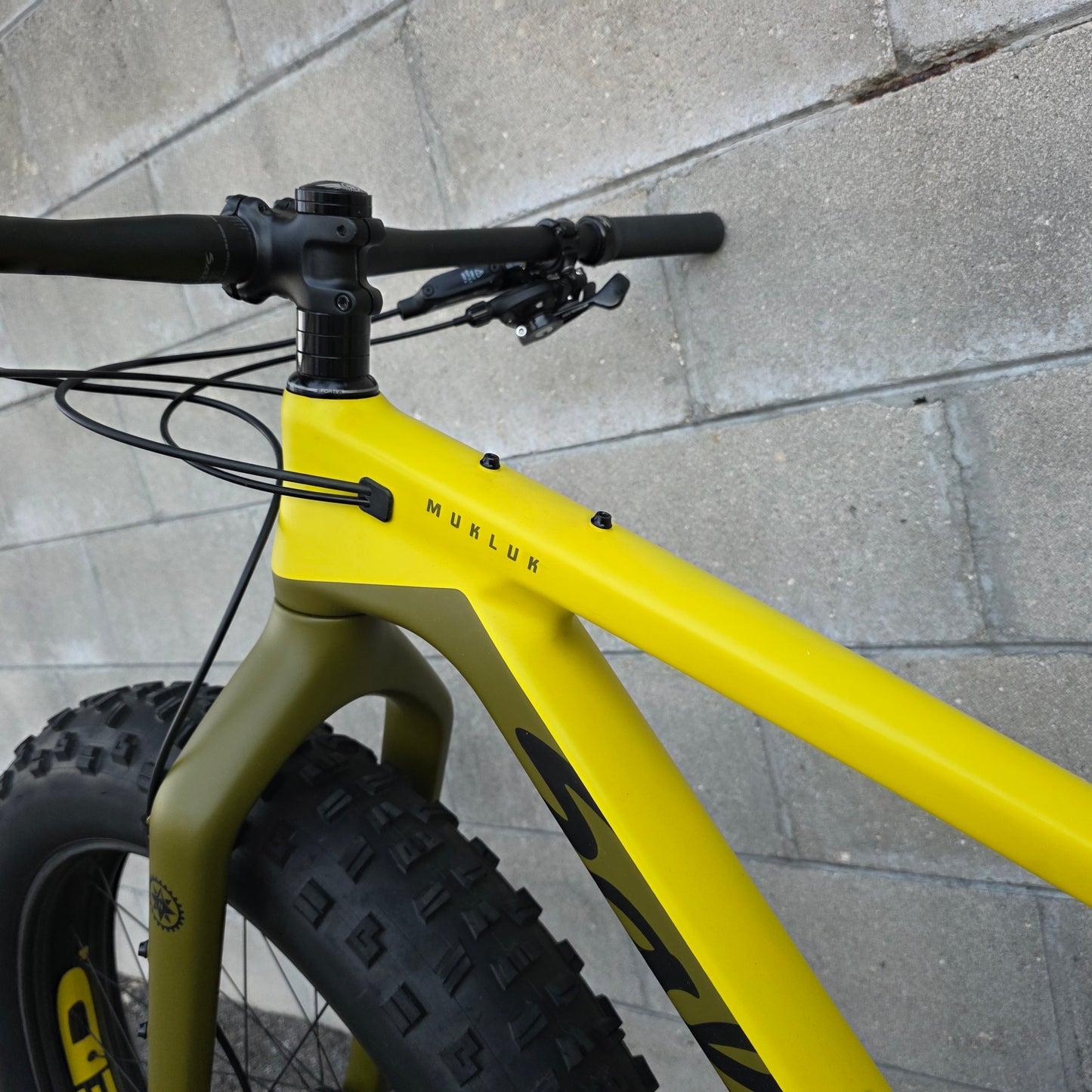 Salsa Mukluk XO1 Carbon FatBike (Small) HED Big Deal Carbon Wheelset