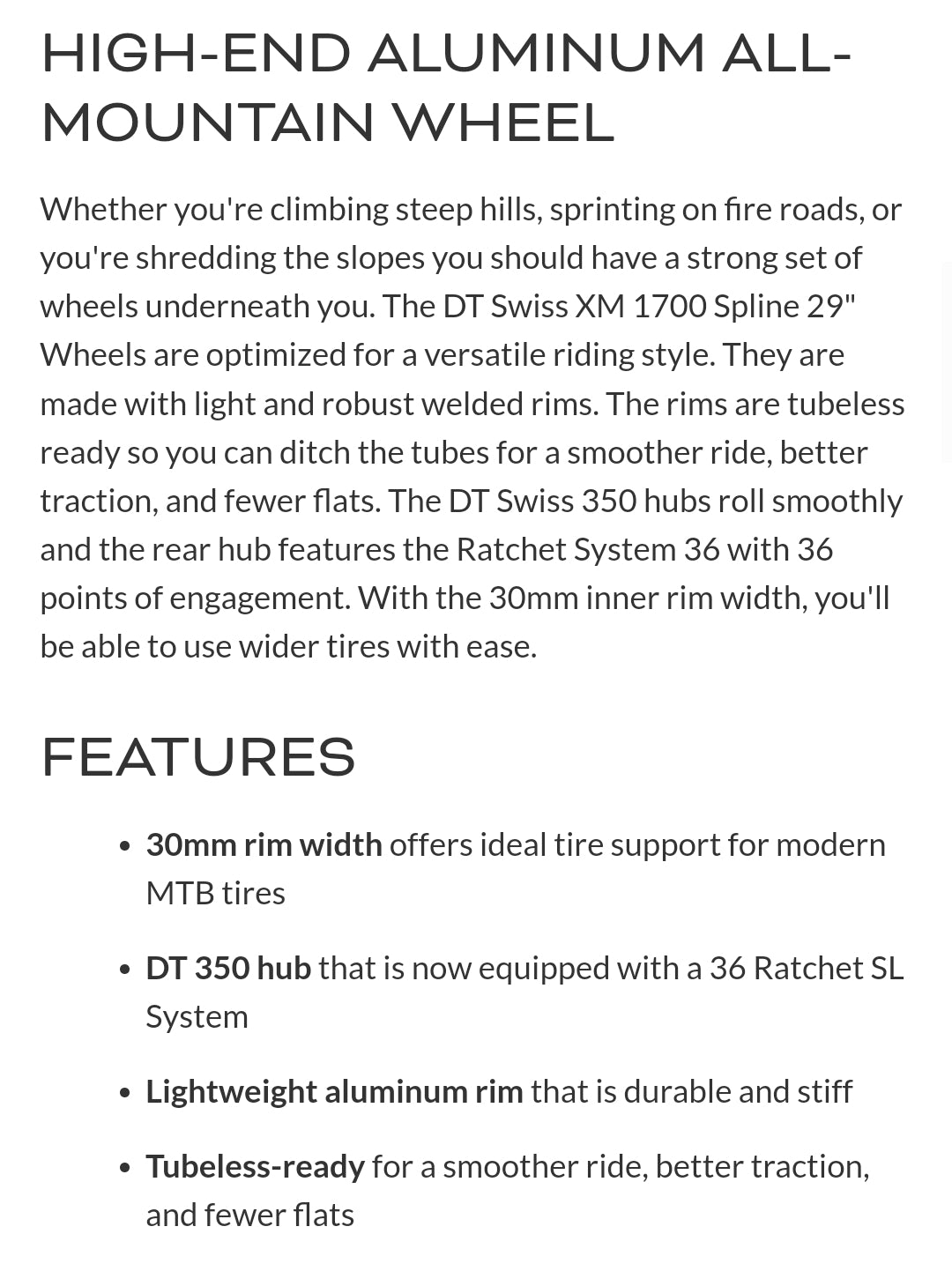 DT Swiss EX1700 29 Wheelset Boost