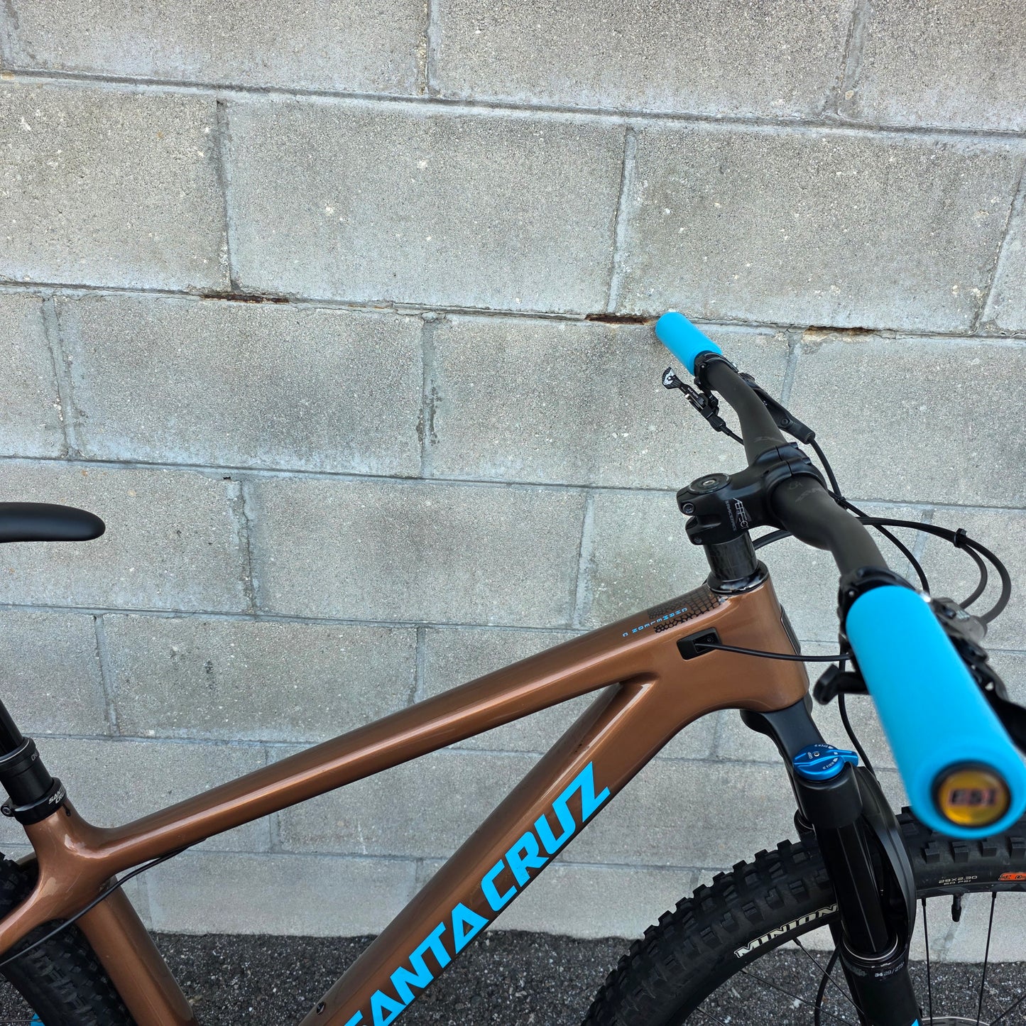 Santa Cruz Chameleon Carbon 29 (Large)