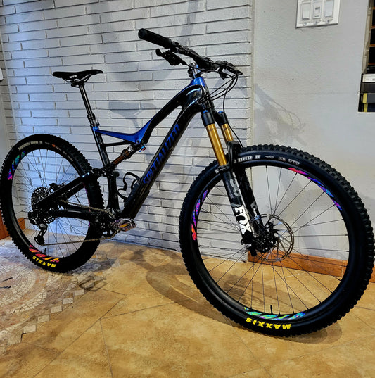 Specialized Stumpjumper Carbon 29 (Large) Fox Factory, Carbon Wheels