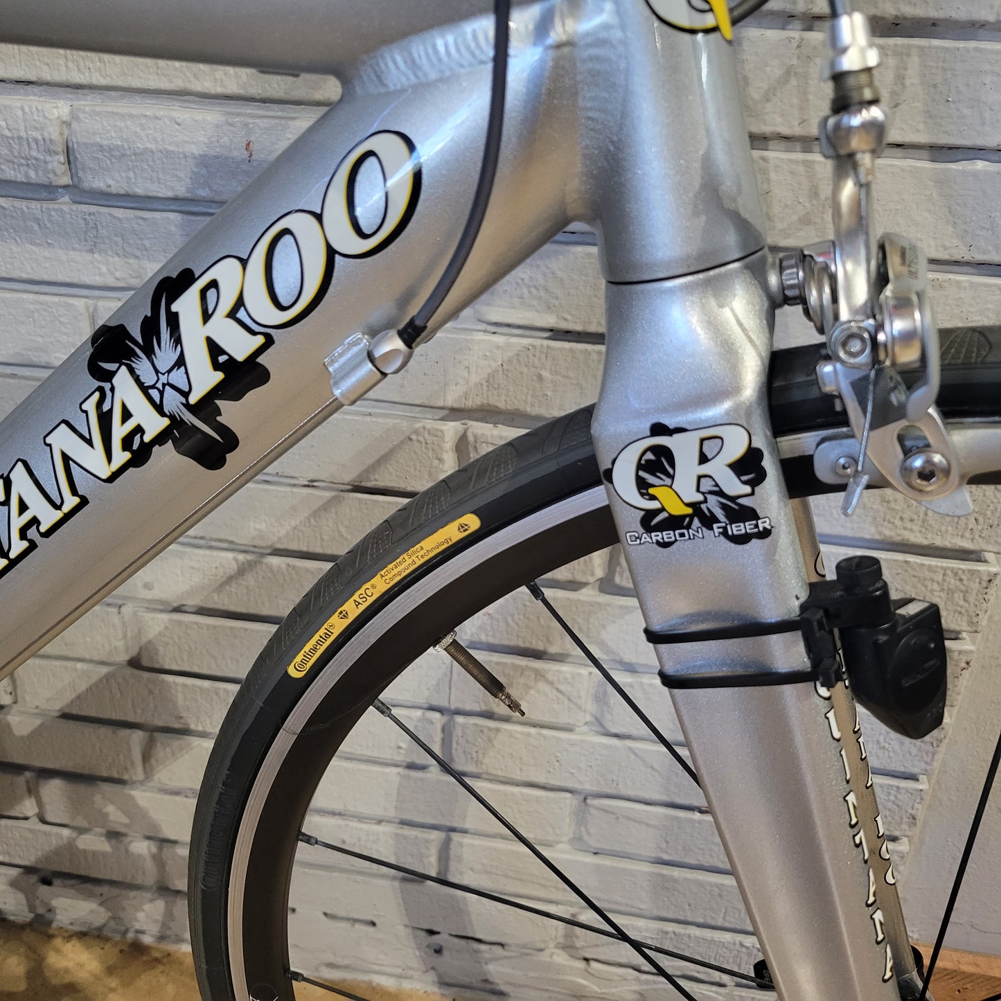 2003 Quintana Roo Caliente Triathlon TT Road Bike 51cm