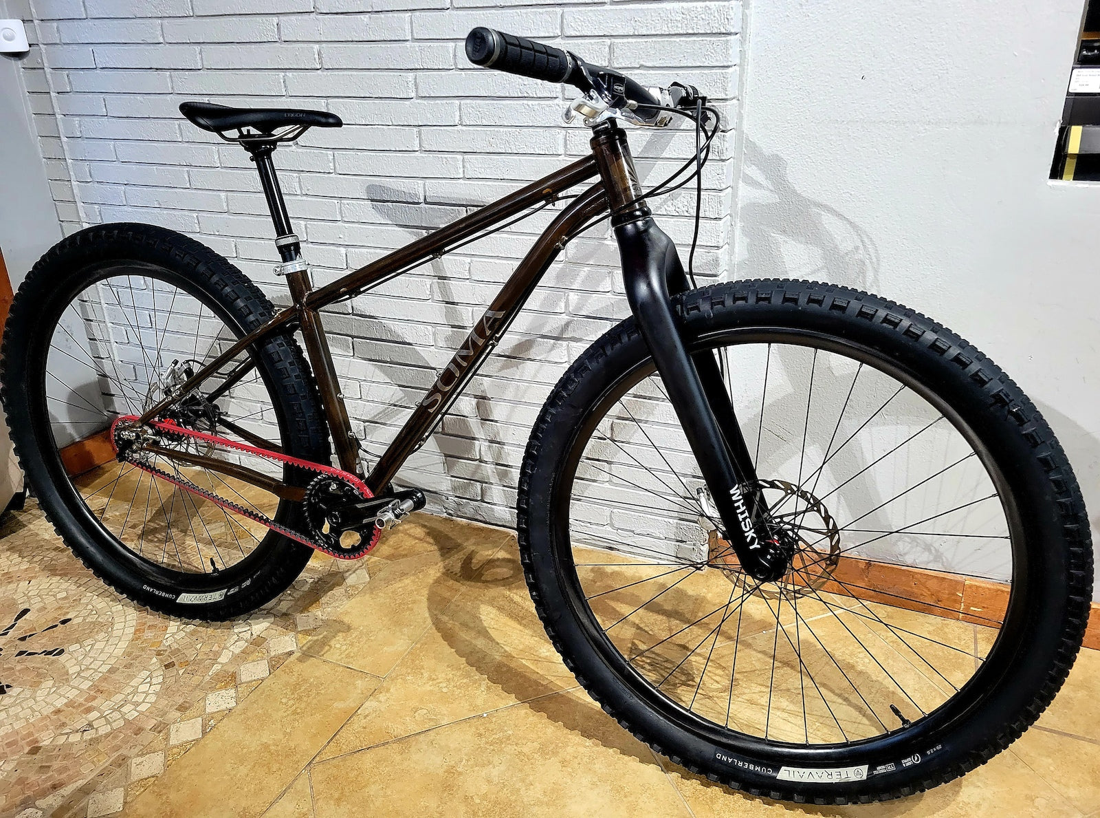 2020 Soma Juice Belt Drive (Small) Custom Mountain Bike – South