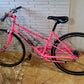 Nishiki Mixtie Custom Road Bike small/med