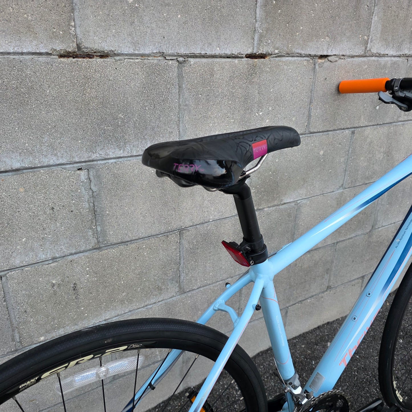 Liv Thrive Women's Hybrid Fitness Road Bike (Medium)