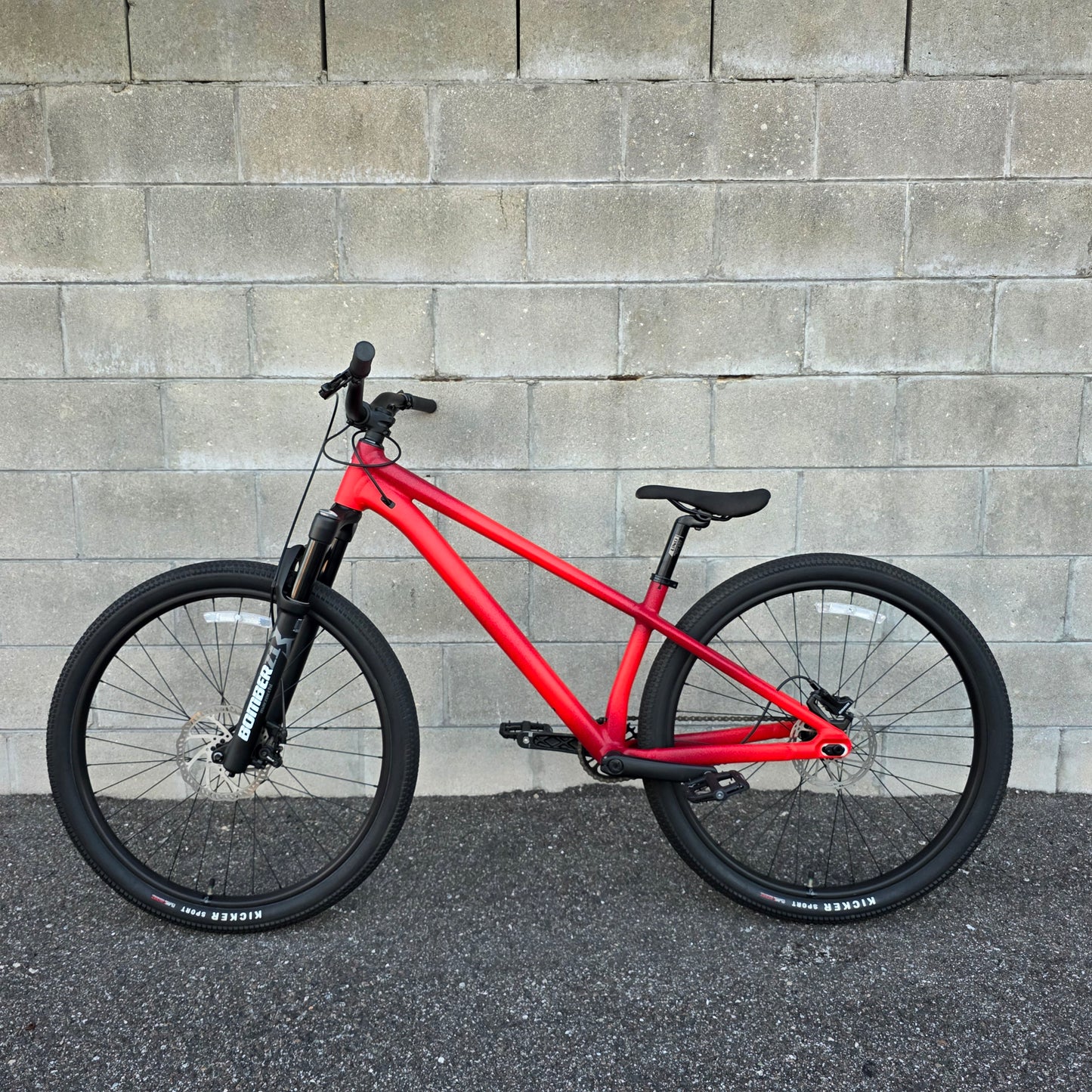 Specialized p4 DJ Dirt Jumper