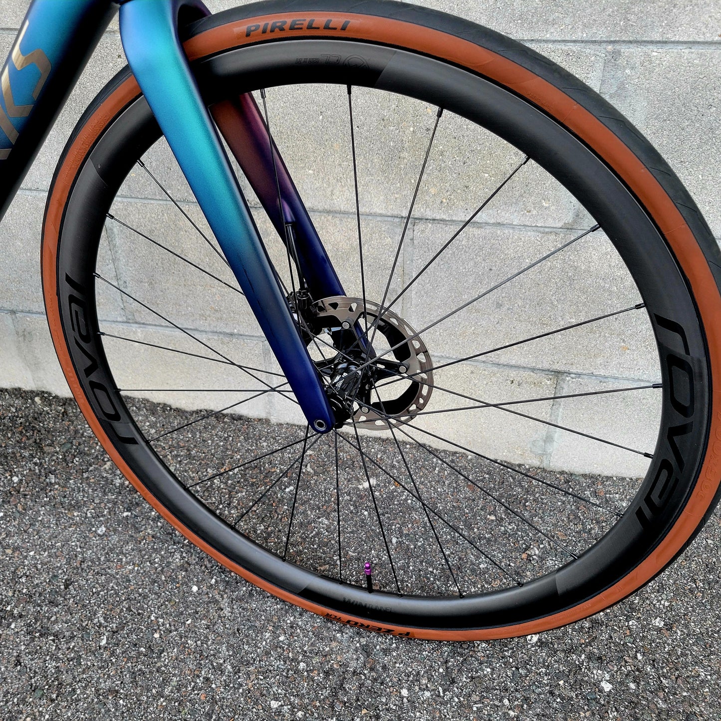 Specialized S-Works Roubaix (54cm) Di2, Alpinist wheels