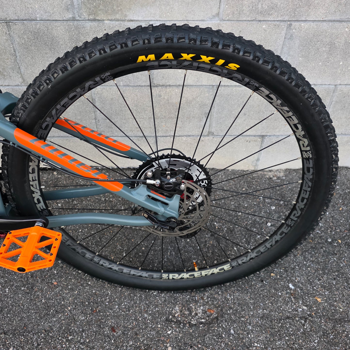 Niner RIP 9 29 Carbon Mountain Bike (Medium)