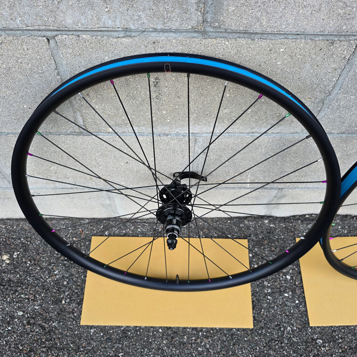Velocity Blunt SS 27.5 wheelset SP Dynamo QR Sram XDR
