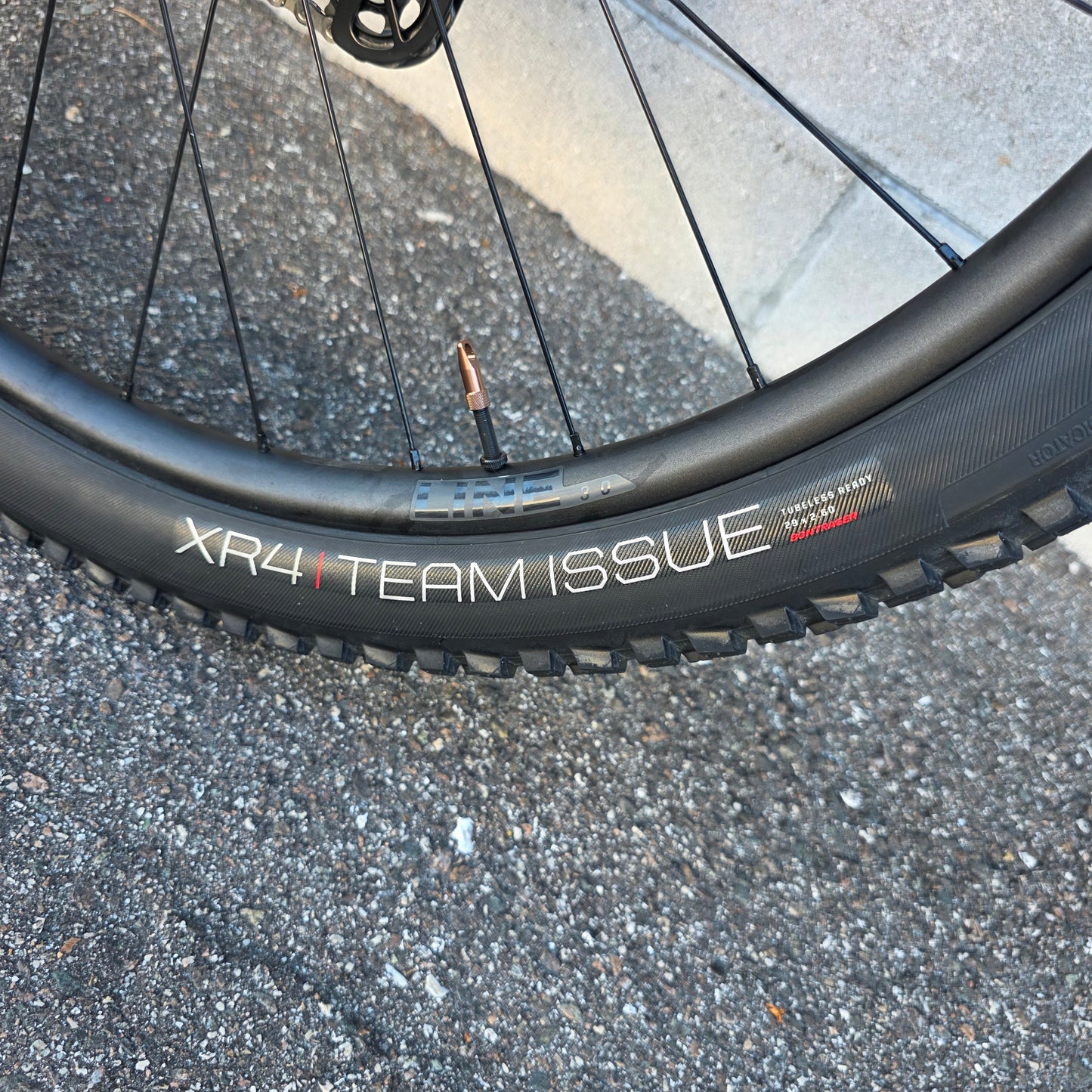 2025 Trek Roscoe 7 29 (Size Large)