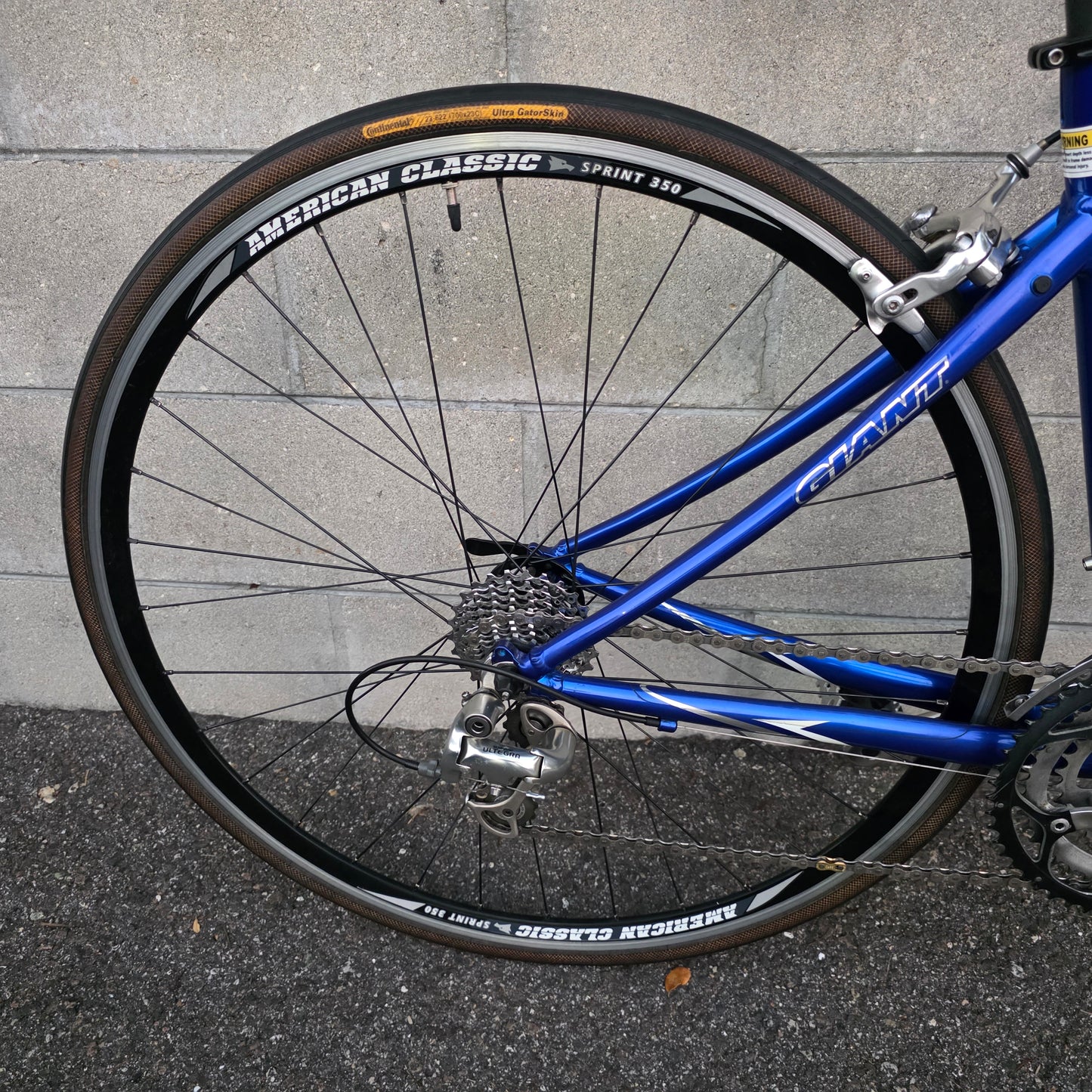 Giant OCR Road Bike (Size Small)