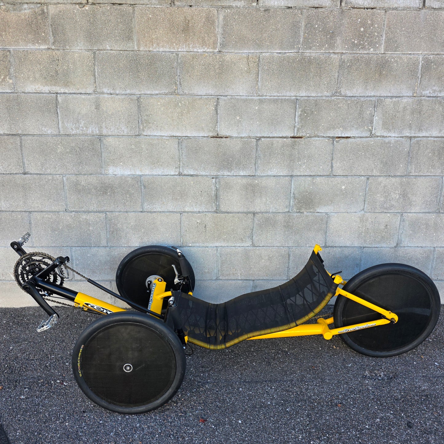 GreenSpeed Aero Recumbent Trike (Local Pick-up Only, Tampa. No shipping)