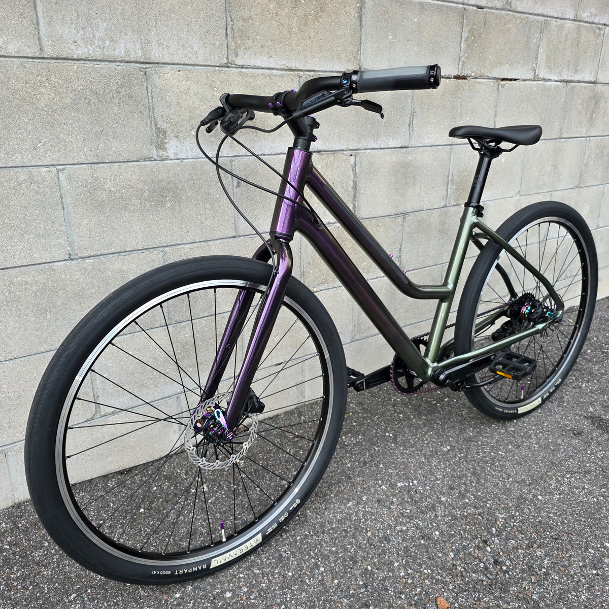 2025 Cannondale Treadwell  Remixte Custom (Large)