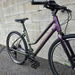 2025 Cannondale Treadwell  Remixte Custom (Large)