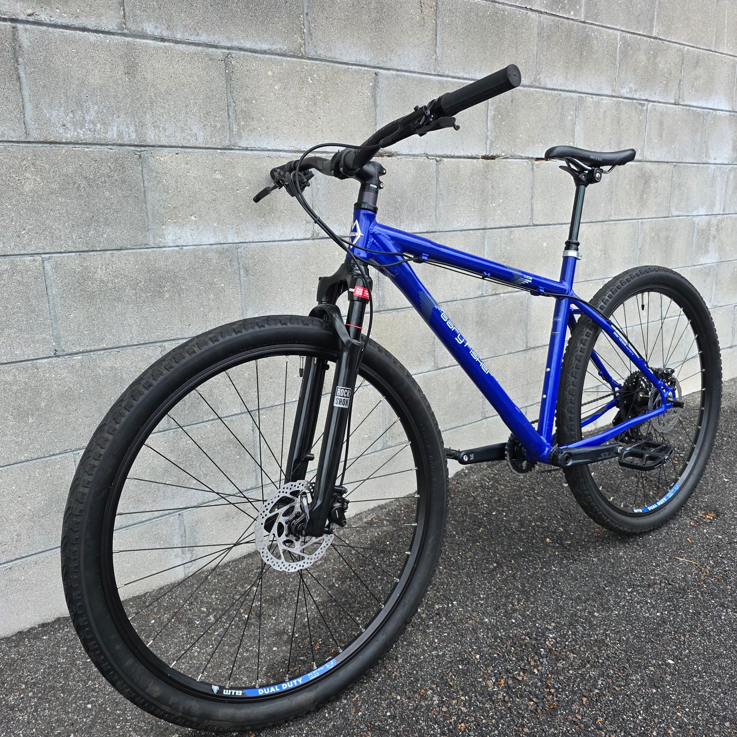 Gary Fisher Cobia 29 (Large) Custom "Resto-mod"