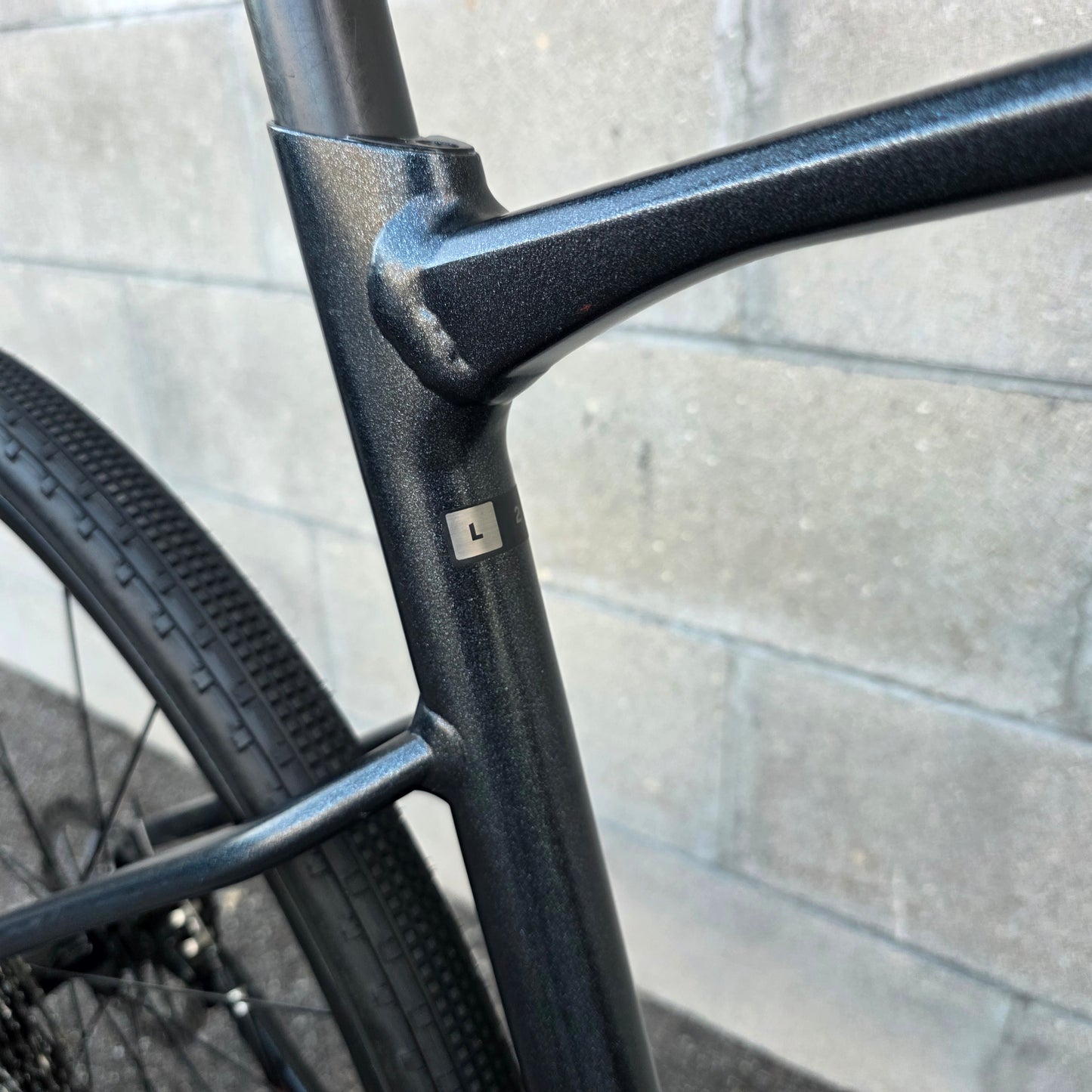 2024 Giant Revolt Flat Bar Gravel Bike (Large)