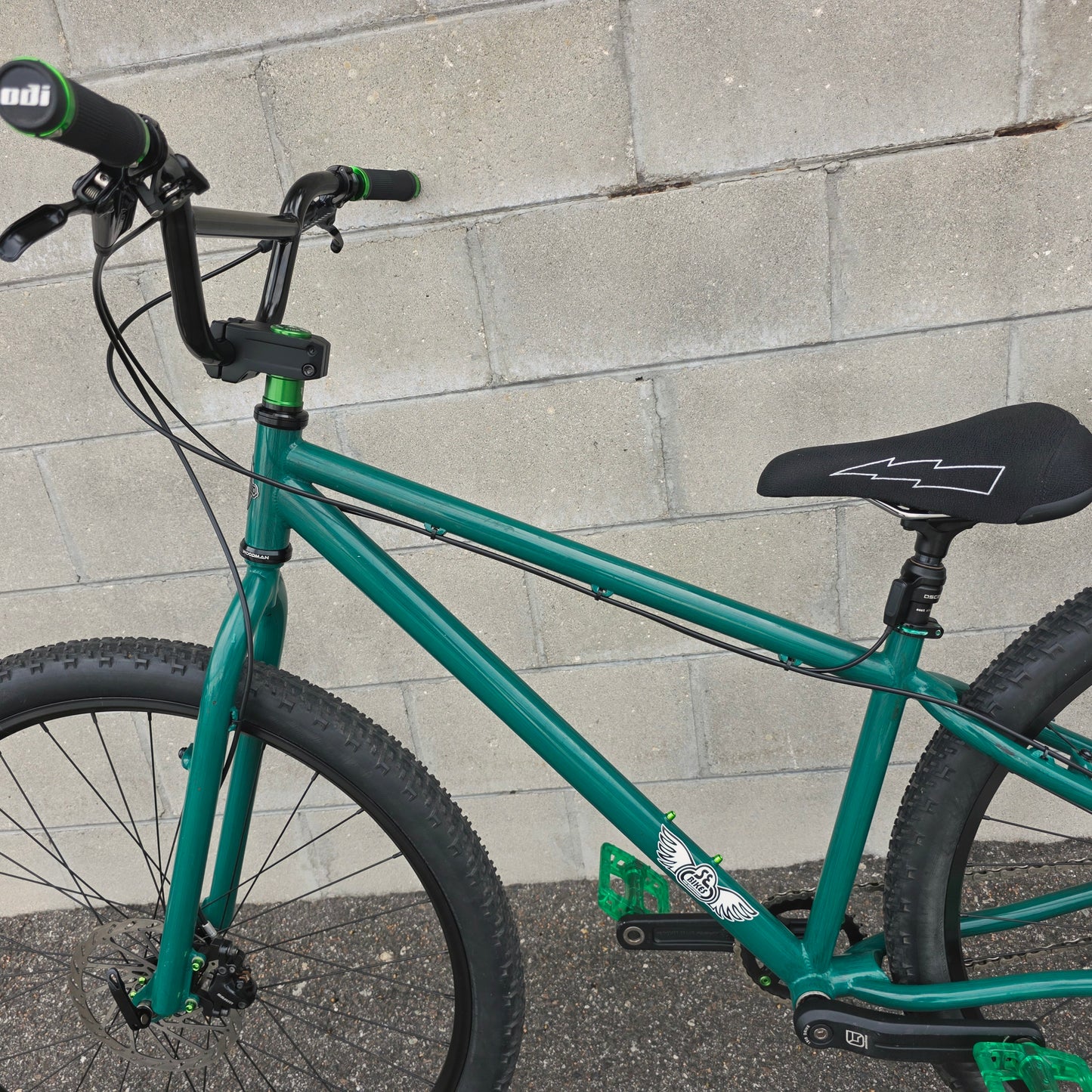 SE Stout 29er BMX Custom