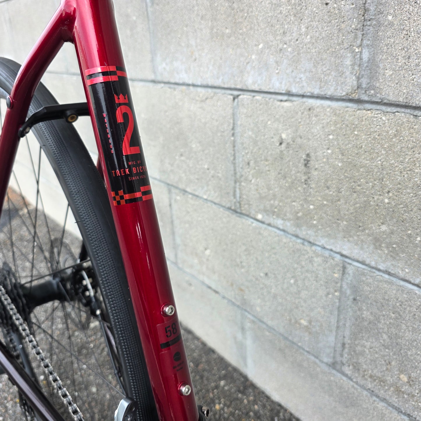 Trek Domane AL 2 (58cm) Road Bike