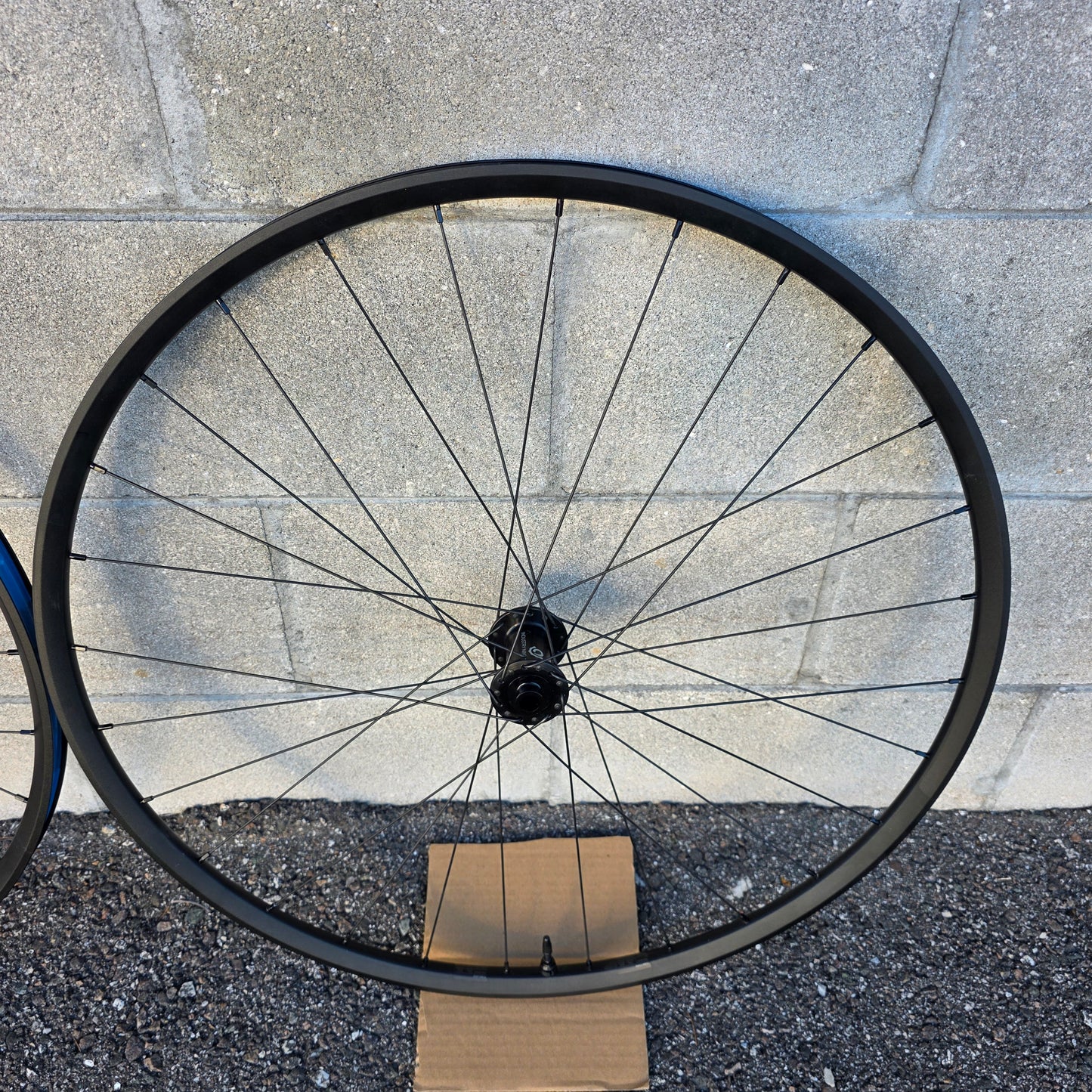 Dt Swiss XR361 Wheelset Industry Nine 1-1 Hubs Gravel 12x100f, 12x142r