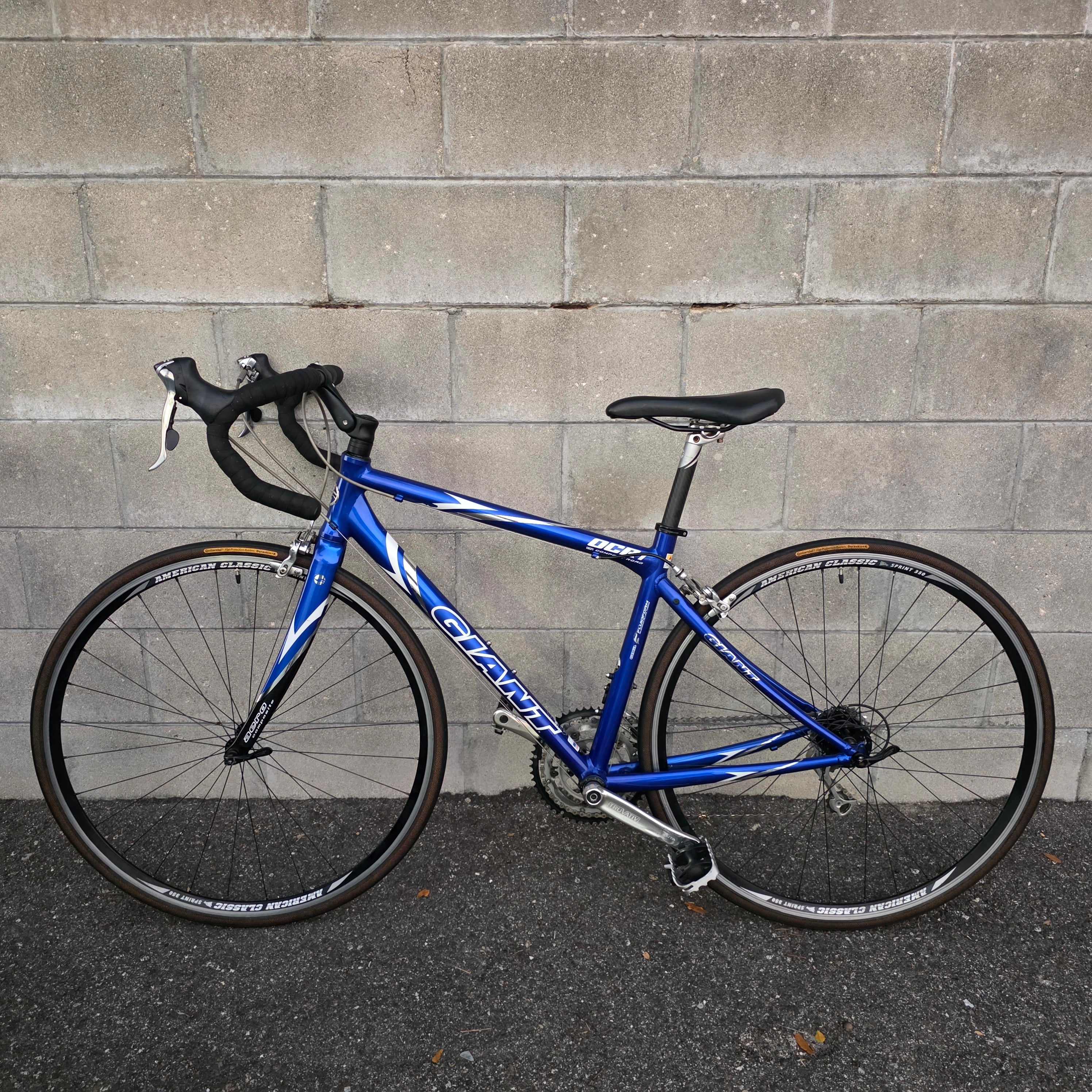 Giant OCR Road Bike (Size Small) – South Tampa Bicycle Co.