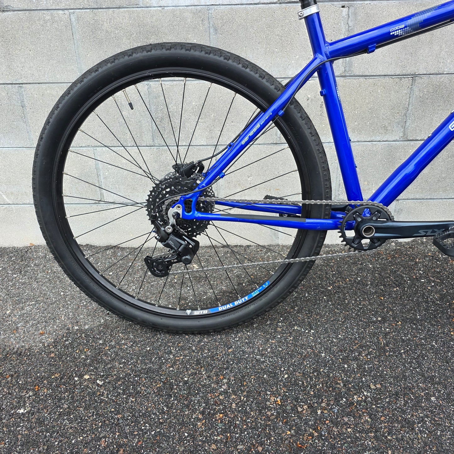 Gary Fisher Cobia 29 (Large) Custom "Resto-mod"