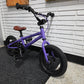 Cleary Gecko 12" Kids Bike Custom