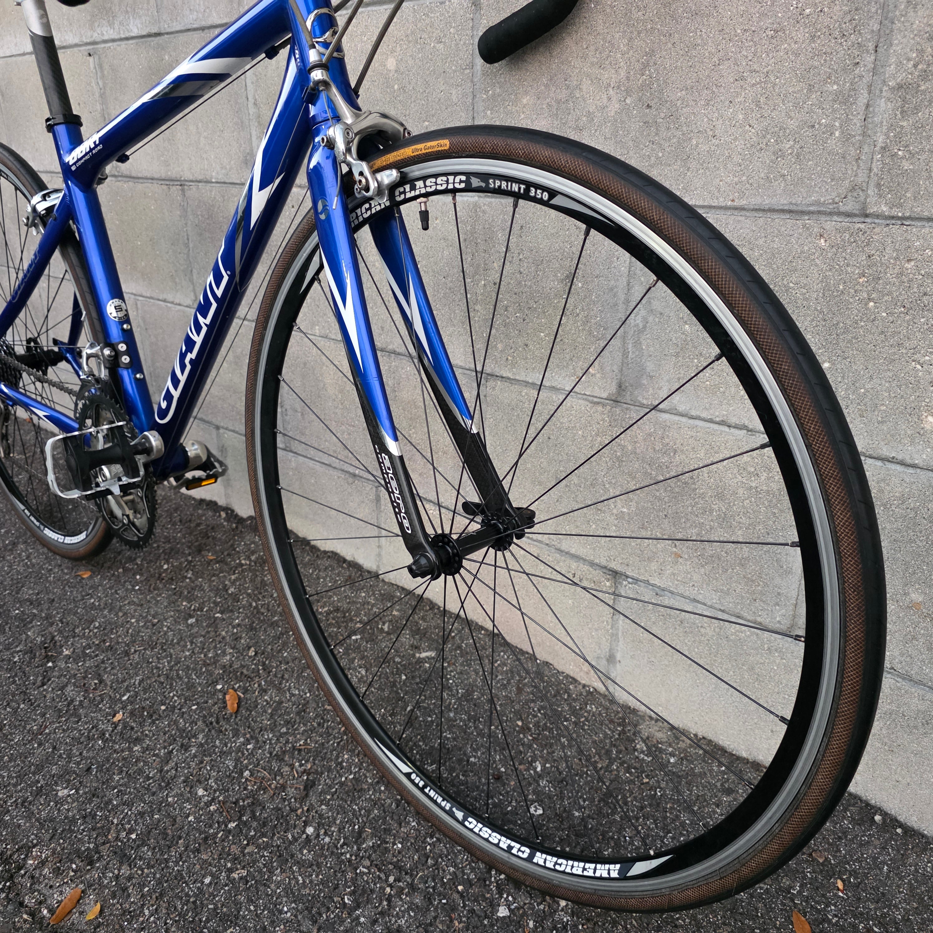 Giant OCR Road Bike (Size Small) – South Tampa Bicycle Co.