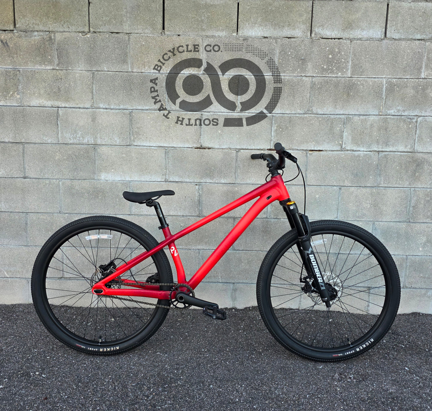 Specialized p4 DJ Dirt Jumper