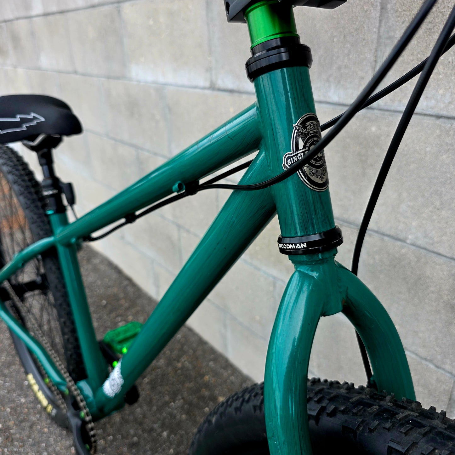 SE Stout 29er BMX Custom