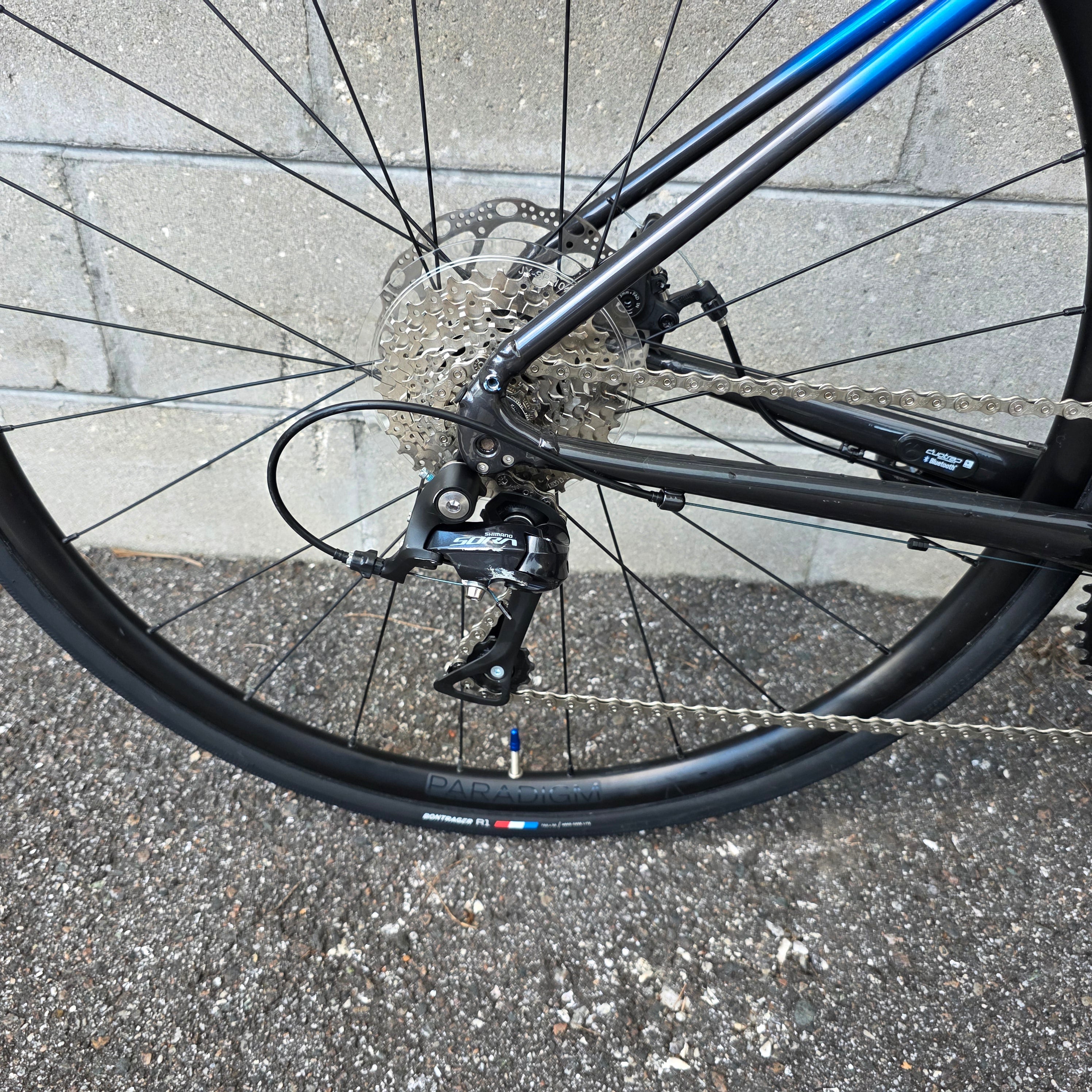 2023 Trek Domane AL3 49CM – South Tampa Bicycle Co.