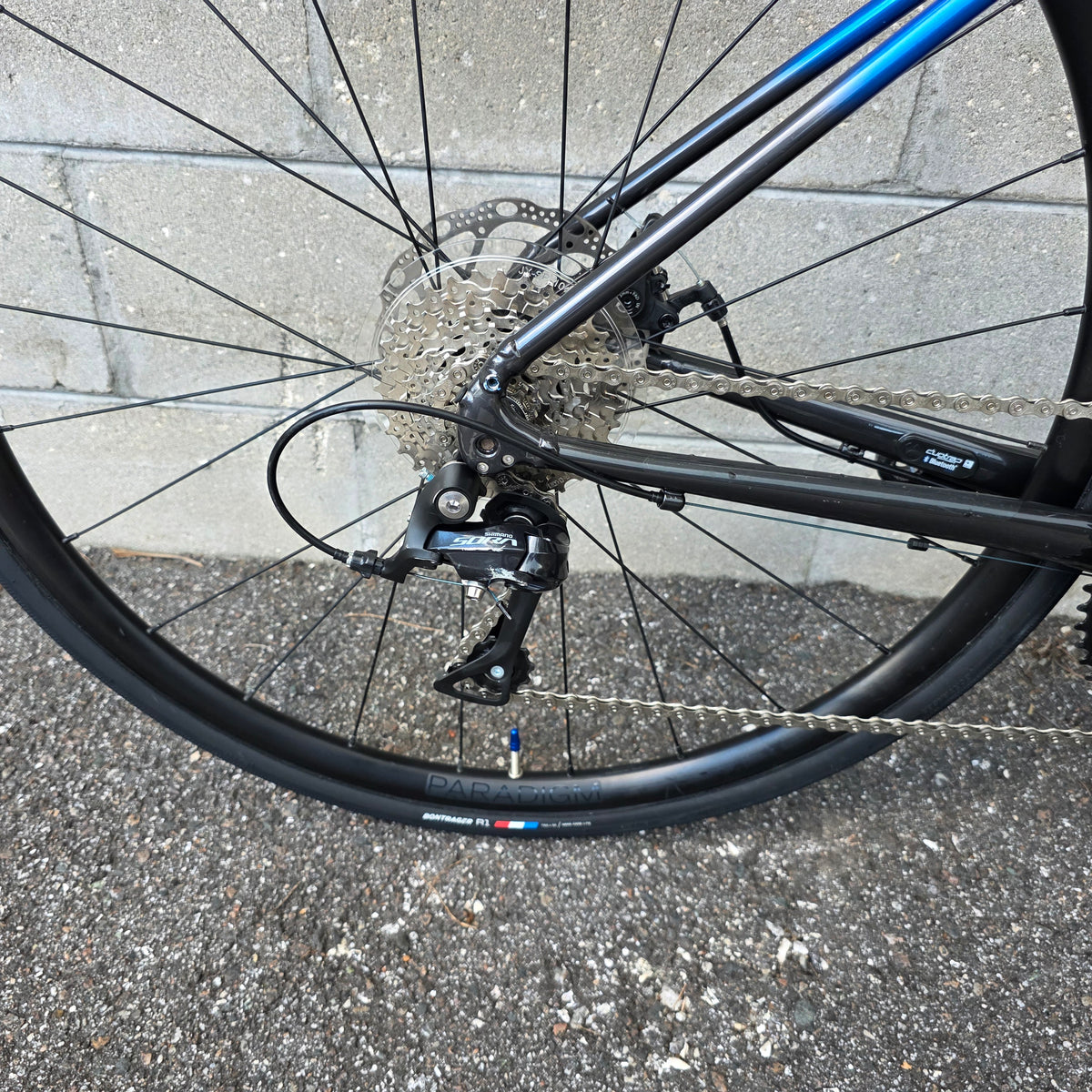 2023 Trek Domane AL3 49CM