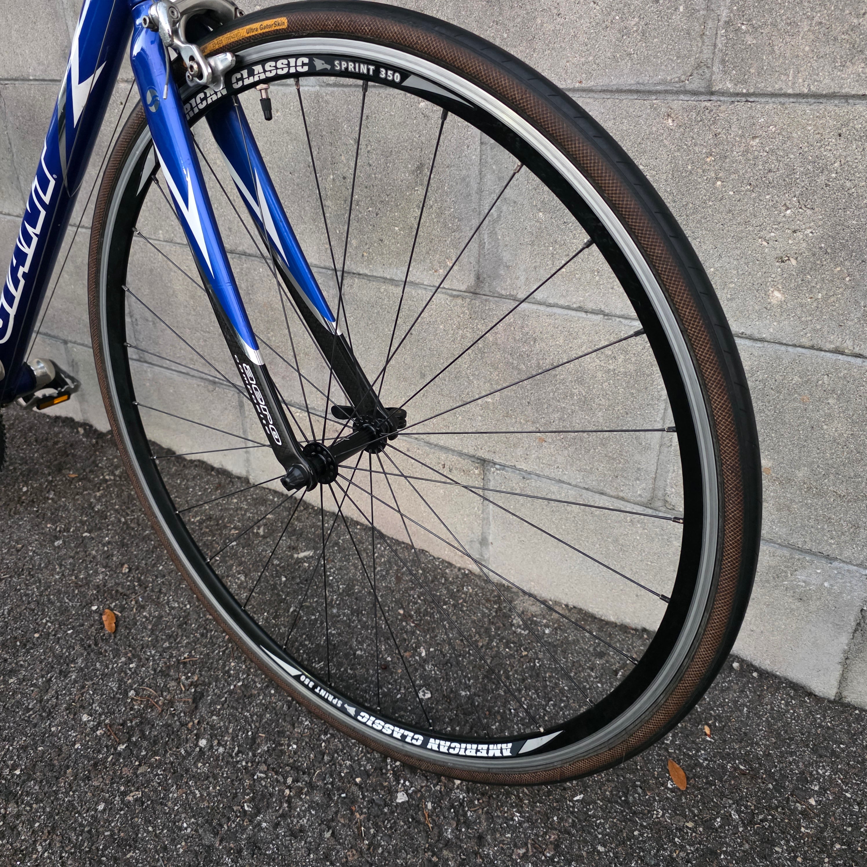 Giant OCR Road Bike (Size Small) – South Tampa Bicycle Co.